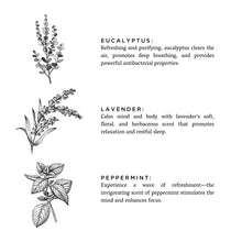 Заредете изображение във визуализатора на галерията – Of The Sea - Reed Diffuser (Eucalyptus + Lavender + Peppermint)
