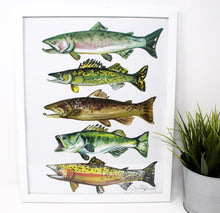 Load image into Gallery viewer, Fish Art Print- 11x14, Simple Outdoor Artwork, Animal Art, Fish Painting Print
