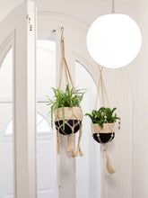 Заредете изображение във визуализатора на галерията – Plant Hanger - Nadu
